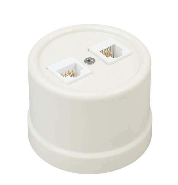 Розетка компьютерная 2-м ОП Лизетта RJ45 10А IP20 ретро кат.5E ABS-пластик сл. кость Bironi B1-302-211
