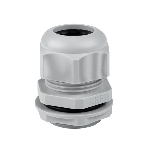 Сальник PG21 d13-18мм (d отверст. 28мм) IP54 PROxima EKF plc-pg-21-r