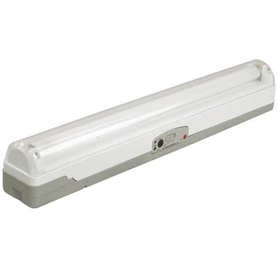 Светильник ЛБА 3924A 1х20Вт акк. 4ч. T8/G13 IEK LLBA1-3924A-1-20-K01