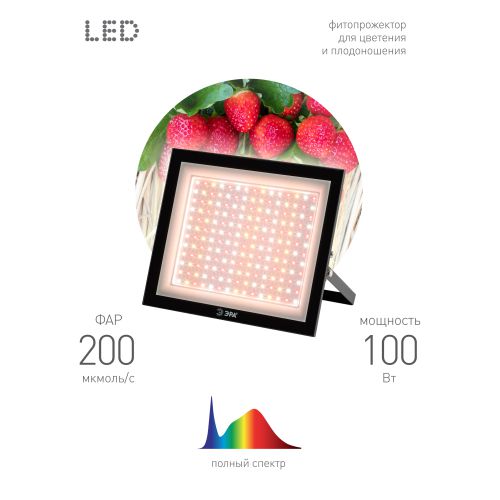 Прожектор светодиодный для растений FITO-100W-Ra90-LED 100Вт для цветения и плодоношения ЭРА Б0047876