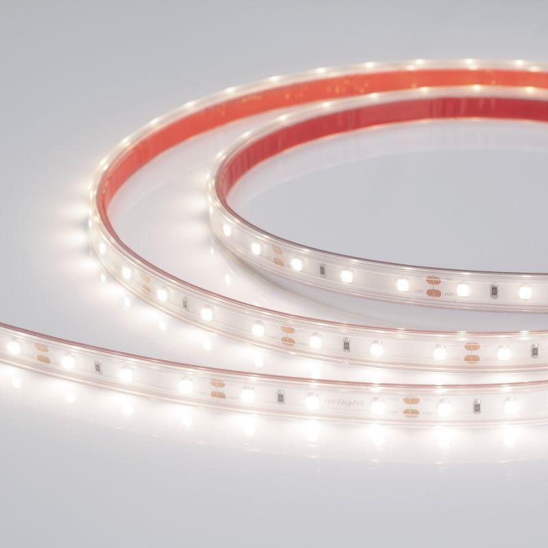 Лента светодиодная RTW-PS-A60-10mm 12V Day 4000К 4.8Вт/м IP67 2835 герметичная (уп.5м) Arlight 021100(2)