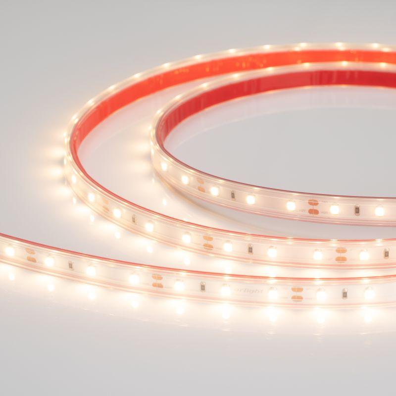 Лента светодиодная RTW-PS-A60-10mm 12V Warm 2700К 4.8Вт/м IP67 2835 герметичная (уп.5м) Arlight 028506(2)