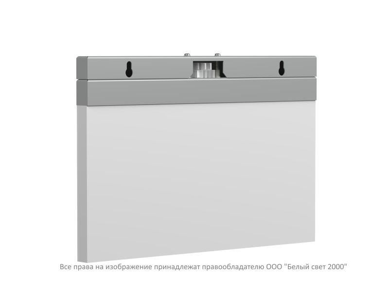 Оповещатель пожарный световой BS-FIRMUS-10-F1-12 Gray Белый свет a24771