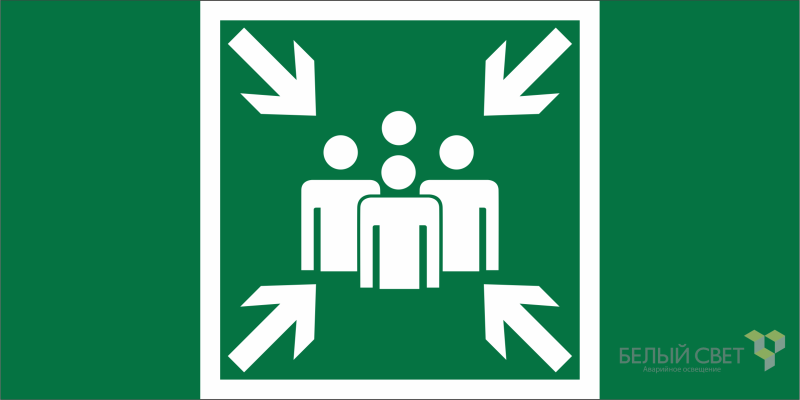 Знак безопасности BL-2010B.E21 "Пункт (место) сбора" Белый свет a19711