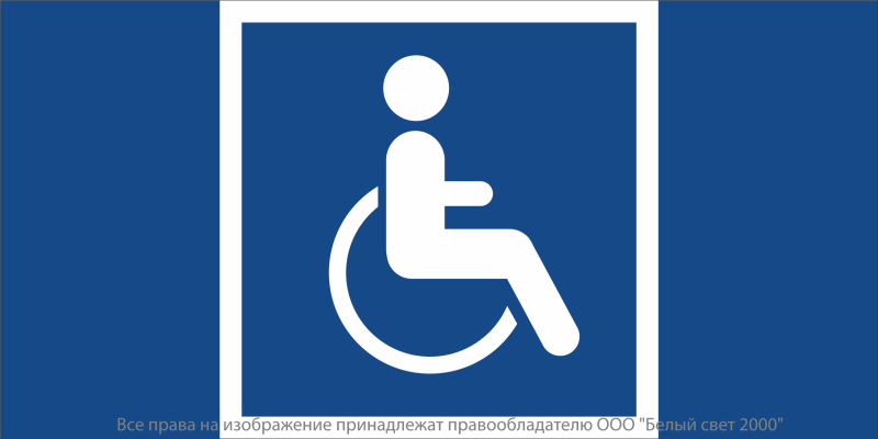 Знак безопасности NPU-2110.D02 "Символы доступности для инвалидов всех категорий" Белый свет a20432