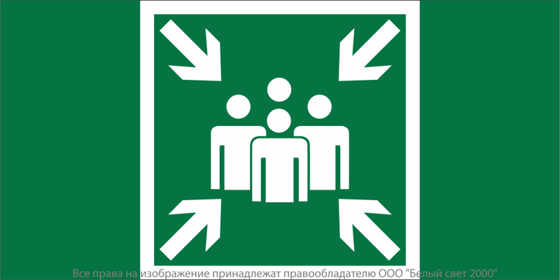 Знак безопасности NPU-2110.E21 "Пункт (место) сбора" Белый свет a20375