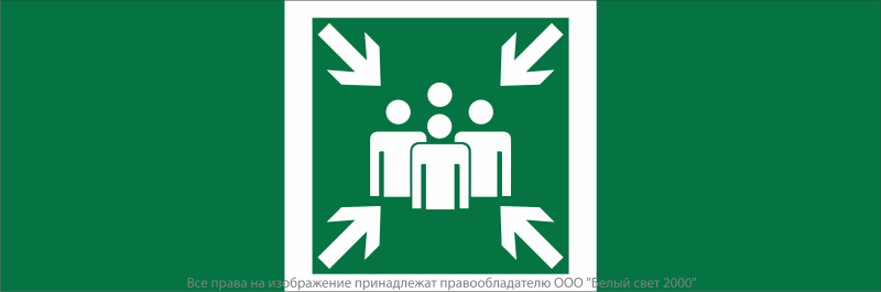 Знак безопасности NPU-3413.E21 "Пункт (место) сбора" Белый свет a19916