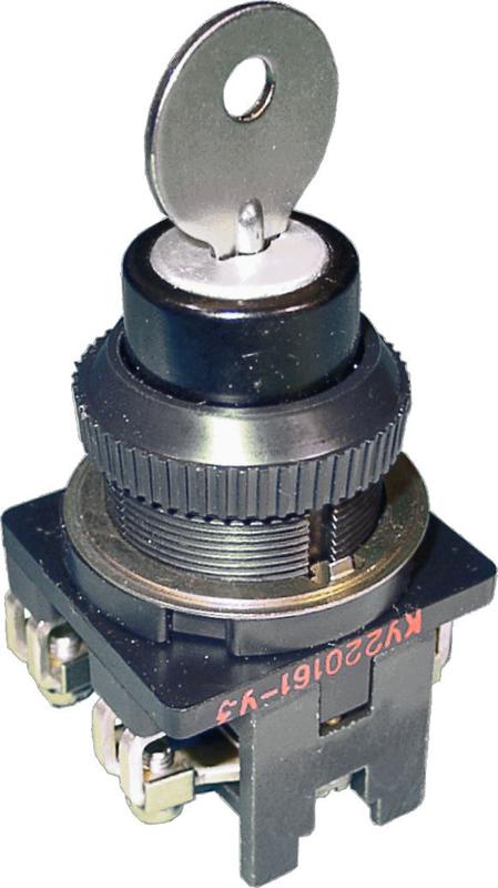 Выключатель кнопочный КУ-200161 ЧЭАЗ A8119-80080195