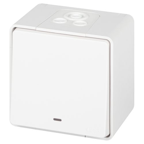 Переключатель Эксперт 11-1507-01 с подсветкой IP55 10АХ-250В ОУ бел. Эра Б0063255