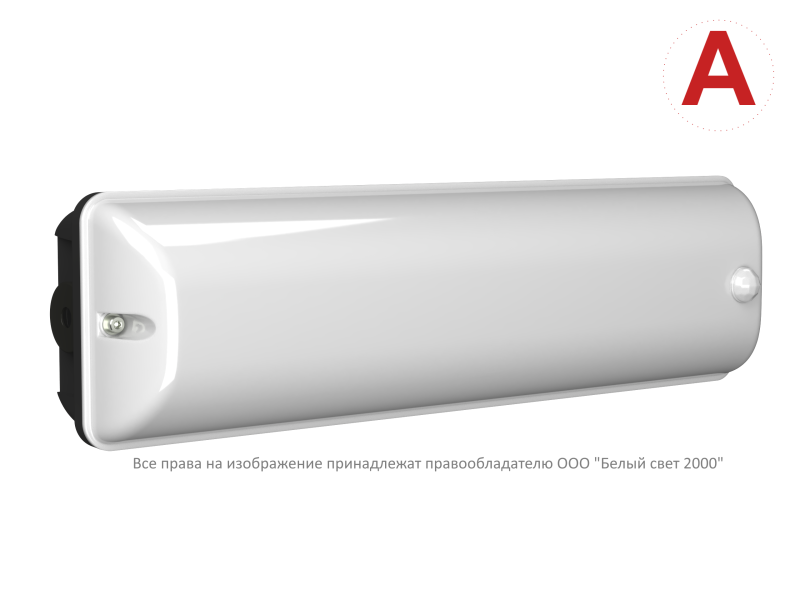 Светильник аварийный BS-METEOR-51-L1-INEXI2 4000К DD01 Black Белый свет a32250