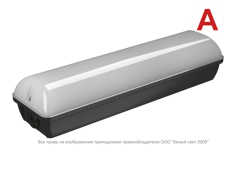 Светильник аварийный BS-METEOR-57-L2-INEXI2 5000К Black Белый свет a32254