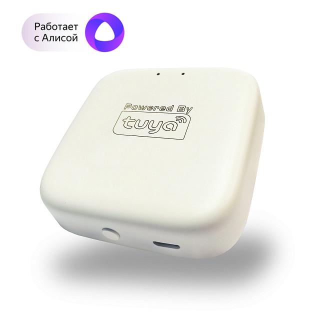 Конвертер WIFI SMART DENKIRS 621078