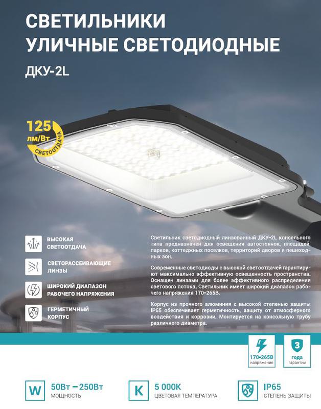 Светильник уличный линзованный светодиодный ДКУ-2L 175Вт 230В 5000К 21875лм 125лм/Вт 48-70мм IP65 NEOX 4690612057316