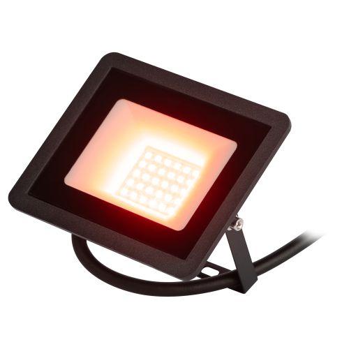 Прожектор светодиодный уличный LPR-025-RED-030 30Вт красн. свечение 600лм IP65 Эра Б0064721