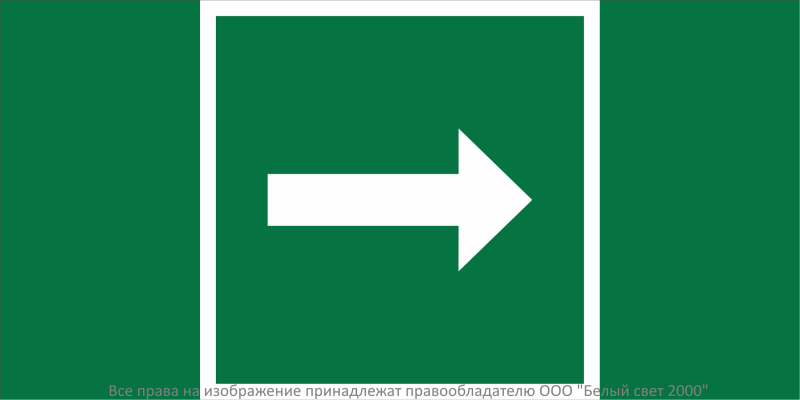 Знак безопасности BL-2010B.C01 "Направление движения к защитным сооружениям" Белый свет a31659