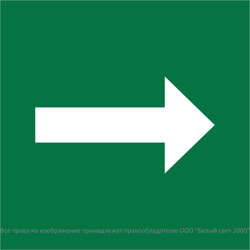 Знак безопасности NPU-1818.C01 "Направление движения к защитным сооружениям" Белый свет a32734