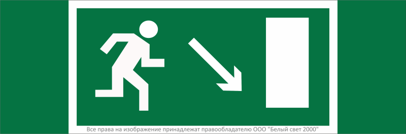 Знак безопасности NPU-3311.E07 "Направление к эвакуационному выходу направо вниз" Белый свет a32670