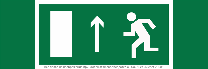 Знак безопасности NPU-3311.E12 "Направление к эвакуационному выходу прямо (лев.)" Белый свет a32675