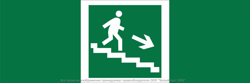 Знак безопасности NPU-3311.E13 "Направление к эвакуационному выходу по лестн. вниз (прав.)" Белый свет a32676