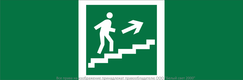 Знак безопасности NPU-3311.E15 "Направление к эвакуационному выходу по лестн. вверх (прав.)" Белый свет a32678