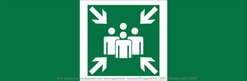 Знак безопасности NPU-3311.E21 "Пункт (место) сбора" Белый свет a32680