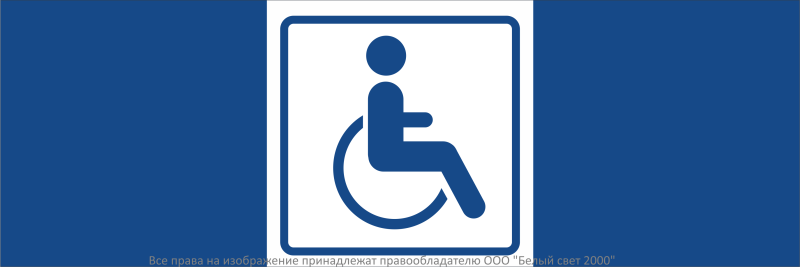 Знак безопасности NPU-3413.D01 "Символ доступности для инвалидов" Белый свет a19955
