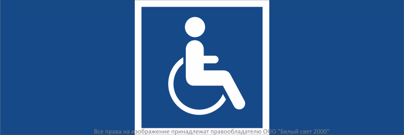 Знак безопасности NPU-3413.D02 "Символы доступности для инвалидов всех категорий" Белый свет a19956