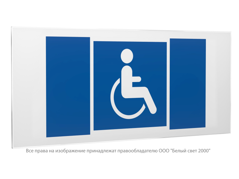 Знак безопасности PS-50206.D02 "Символы доступности для инвалидов всех категорий" Белый свет a20736
