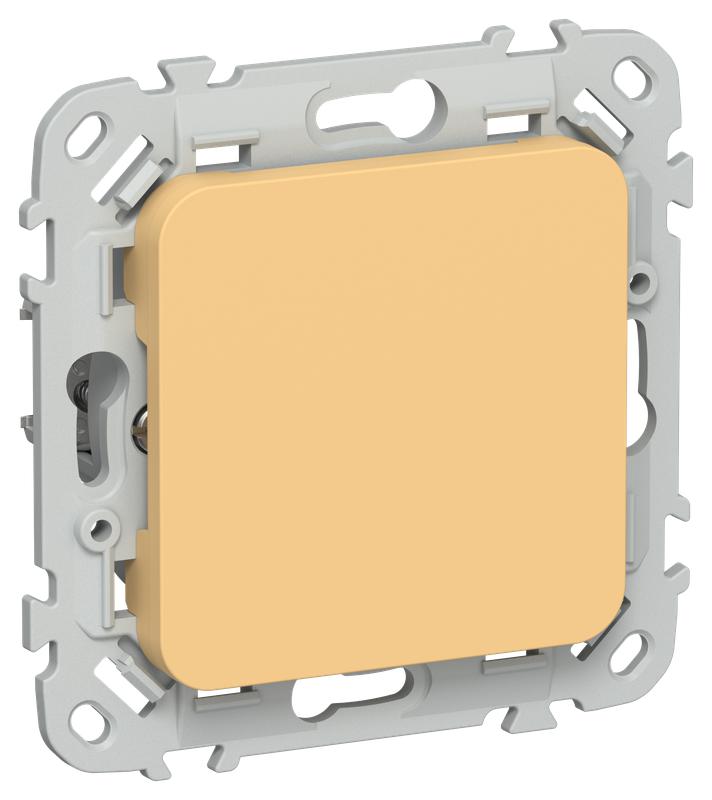 Заглушка СП FLITE ЗГ-ФлЗ с суппортом механизм золотарник IEK FI-PL10-K90