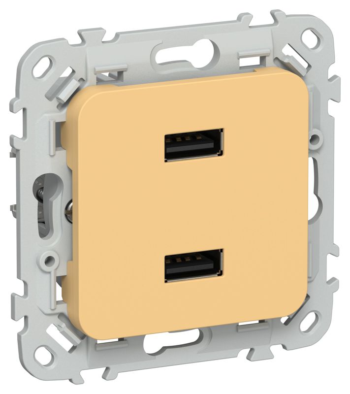 Розетка USB СП FLITE РЮ-2-ФлЗ AA 2.1А механизм золотарник IEK FI-U21-D31-K90