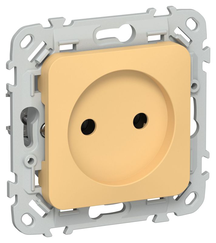 Розетка СП FLITE РС01-0-ФлЗ 10А без заземл. без защ. шторок механизм золотарник IEK FI-R10-10-K90