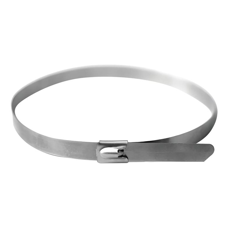 Хомут кабельный 8х600 нерж. сталь AISI 304 серебр. (уп.20шт) DKC 27416