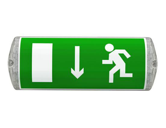 Светильник светодиодный TLM01 PC EM1 накладной Technolux 83476