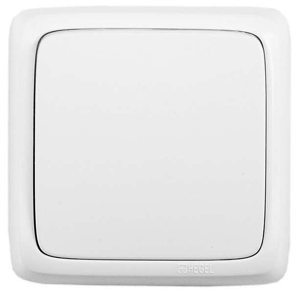 Выключатель 1-кл. ОП Альфа 10А IP20 250В с монтаж. пластиной бел. HEGEL ВА10-115