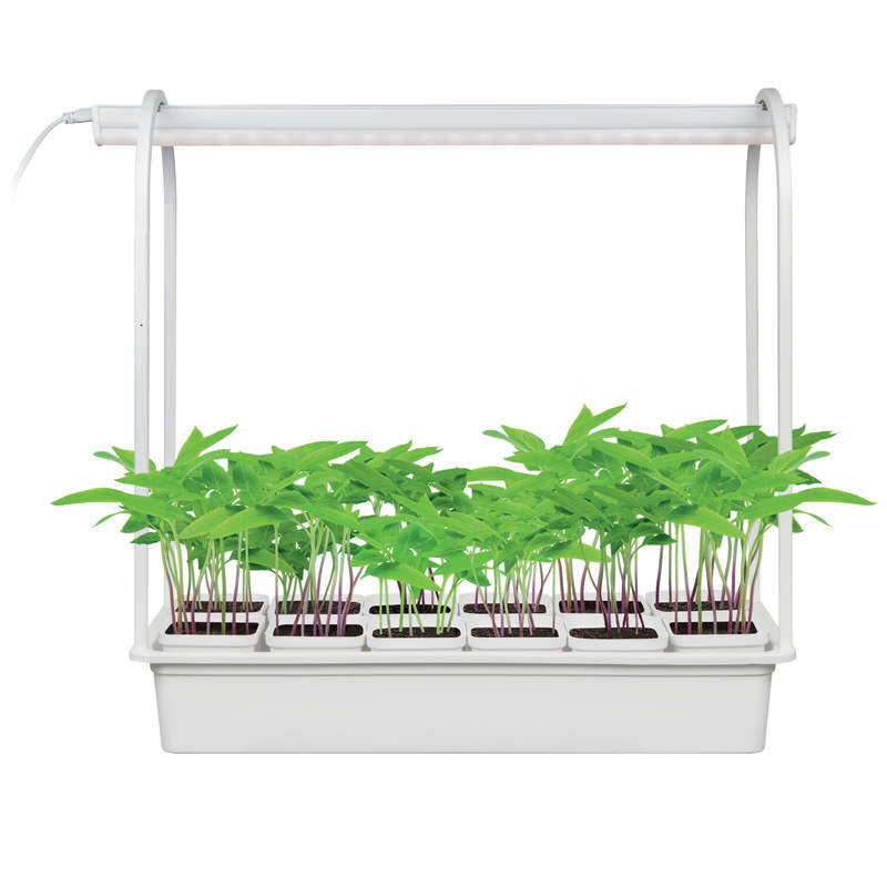 Светильник светодиодный для растений ULT-P34-10W/SPSB WHITE IP40 с подставкой "Минисад" спектр для рассады и цветения 12 кашпо Uniel UL-00004149