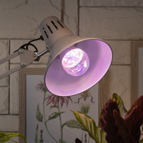 Лампа светодиодная FITO-11W-Ra90-E27 11Вт A60 грушевидная E27 220-240В для растений полноспектральная Эра Б0039172