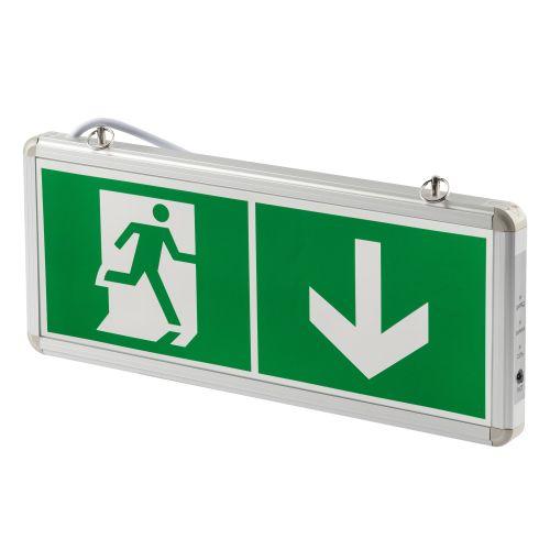 Светильник светодиодный SSA-101-0-20 3ч 3Вт без текста аварийный ЭРА Б0044387