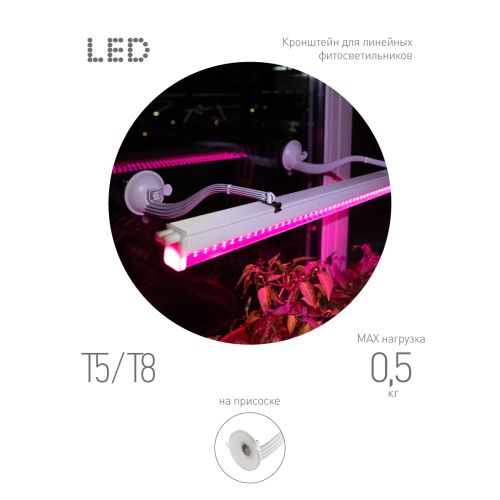 Кронштейн для фитоламп и фитосветильников FITO-Hanger на присоске Эра Б0056912