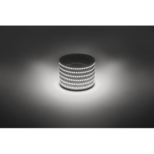 Лента светодиодная LS2835 -19.2-240-12-4000K-IP20-1 year-5m нейтр. бел. (уп.5м) Эра Б0059907