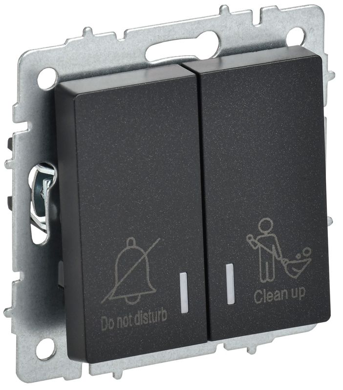 Выключатель 2-кл. BRITE 10А ВС10-2-9-БрЧ для отелей с индик. механизм черн. IEK BR-V20-2-10-K02