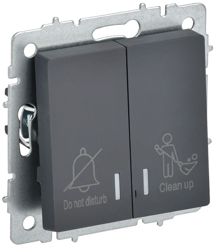 Выключатель 2-кл. BRITE 10А ВС10-2-9-БрГ для отелей с индик. механизм графит IEK BR-V20-2-10-K53