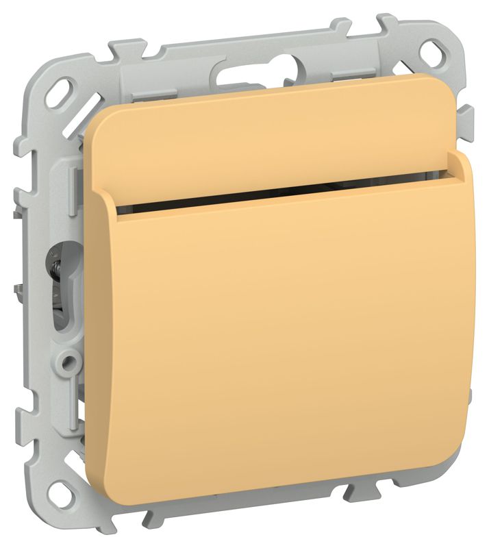 Выключатель карточный СП FLITE ВК-0-ФлЗ 30А механизм золотарник IEK FI-V11-0-10-K90