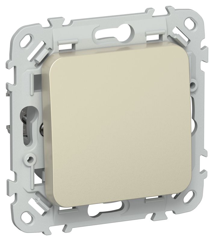 Выключатель кнопочный проходной 1-кл. СП FLITE ВС61-2-0-ФлШ 10А механизм шампань IEK FI-V18-0-10-1-K37