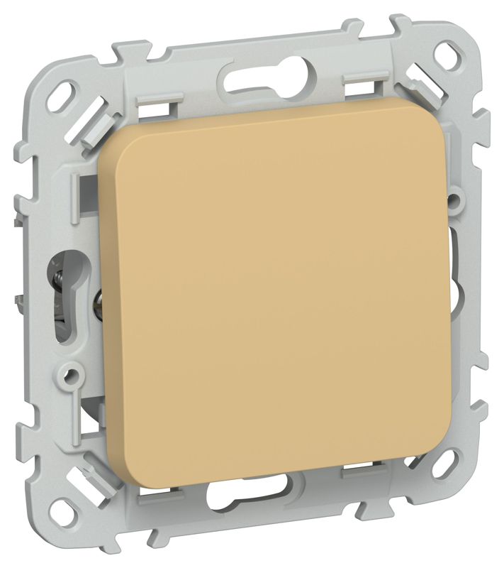 Выключатель кнопочный проходной 1-кл. СП FLITE ВС61-2-0-ФлШм 10А механизм шамуа IEK FI-V18-0-10-1-K89