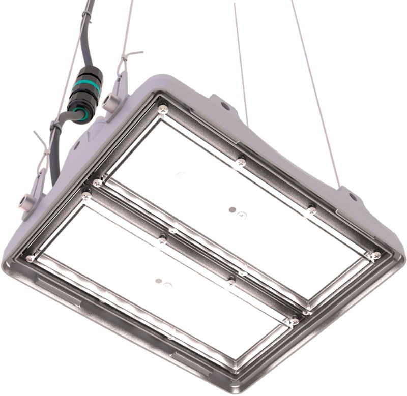 Прожектор светодиодный L-pixel 1/50/Д/840/(R5)/01/MT-KM/I1-D1/220AC IP66 RAL7035 LEDEL PX50-11216-124-172