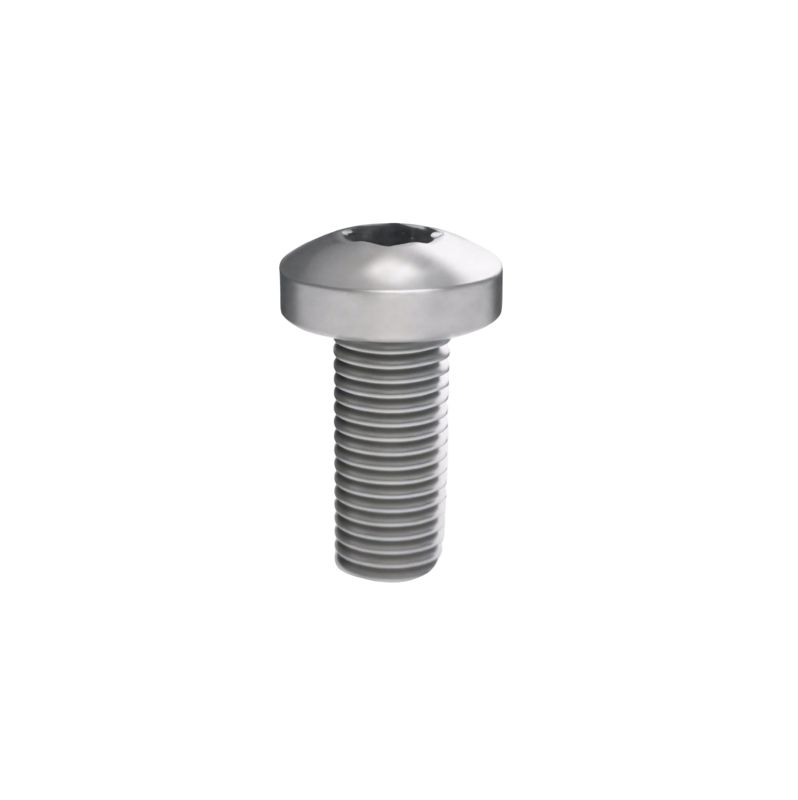 Винт М5х12 под шлиц Torx (уп.100шт) DKC R5M512