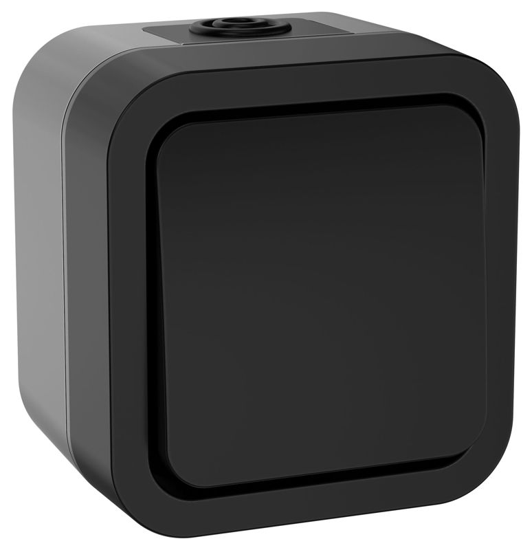 Выключатель 1-кл. 2п ОП TORS TS111 10А IP55 графит IEK TS-V16-0-10-55-K53