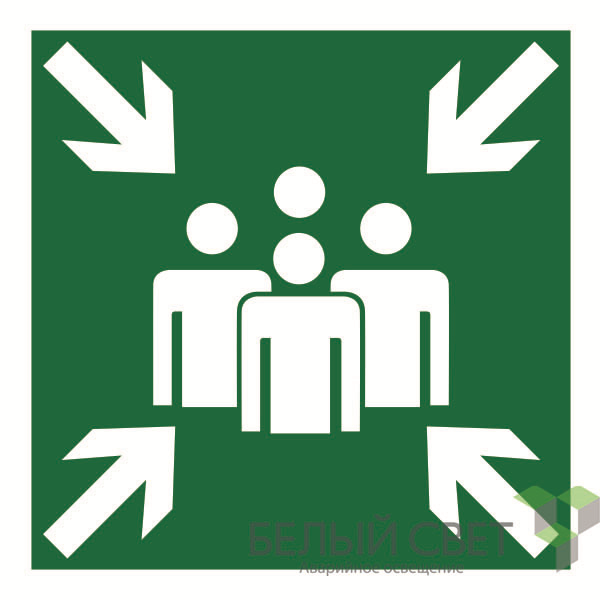 Наклейка NPU-1818.E21 "Пункт (место) сбора" Белый свет a11090