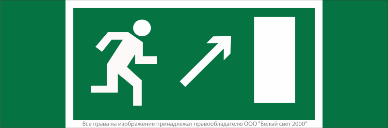 Знак безопасности NPU-3413.E05 "Напр. к эвакуационному выходу направо вверх" Белый свет a16516