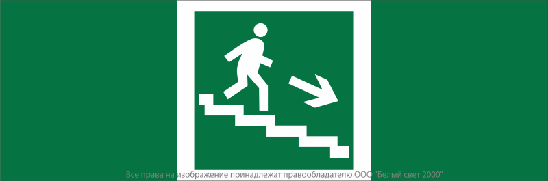 Знак безопасности NPU-3413.E13"Напр. к эвакуац. выходу по лестн. вниз (прав.)" Белый свет a16524
